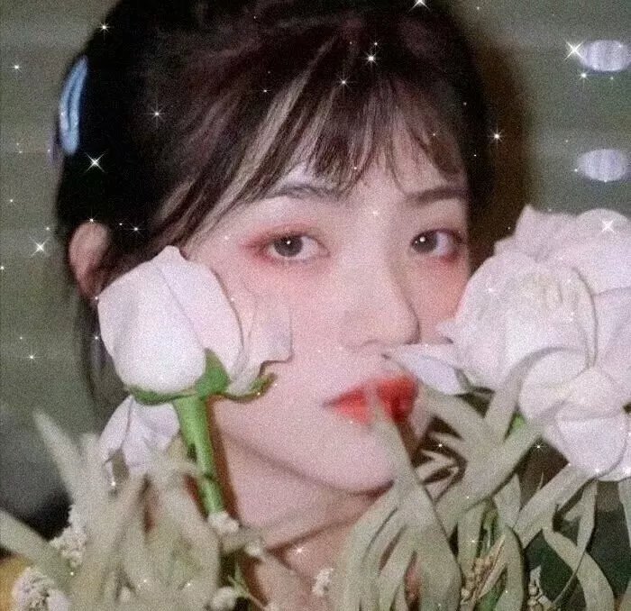爱神巧克力第二季