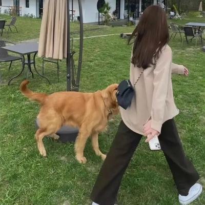 狂人大师
